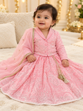 Pastel Pink Collar Crop Top with Embroidered Lehenga - Girls Ethnic Wear