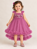 Onion Pink Heavy Frilled Party Wear