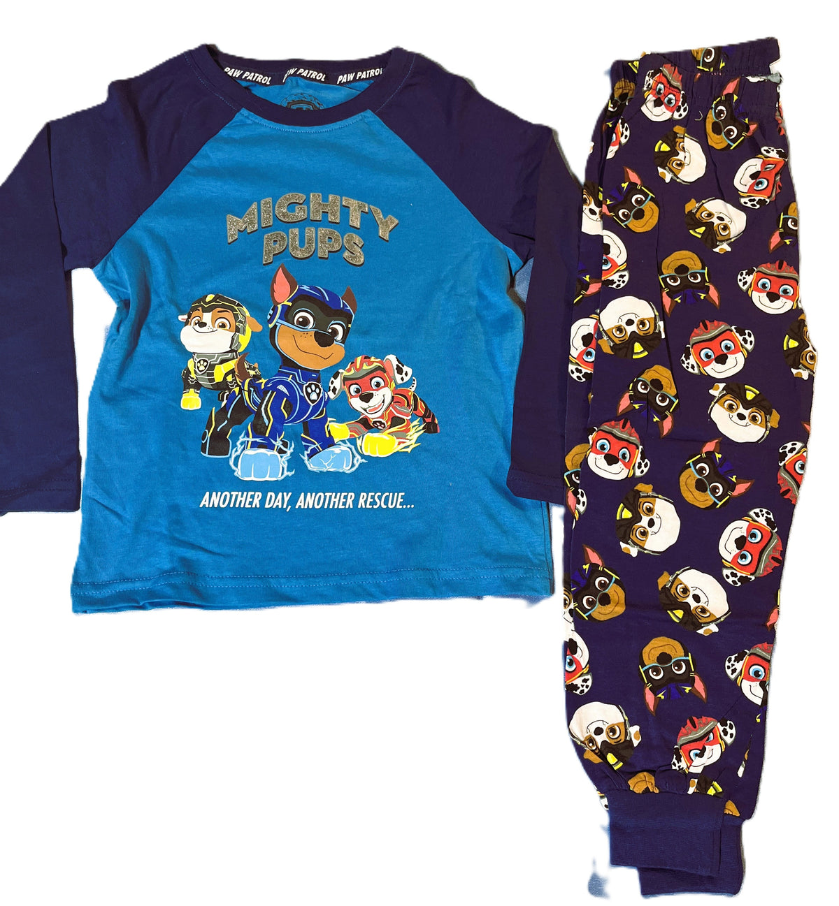 Blue Paw Patrol Themed Set