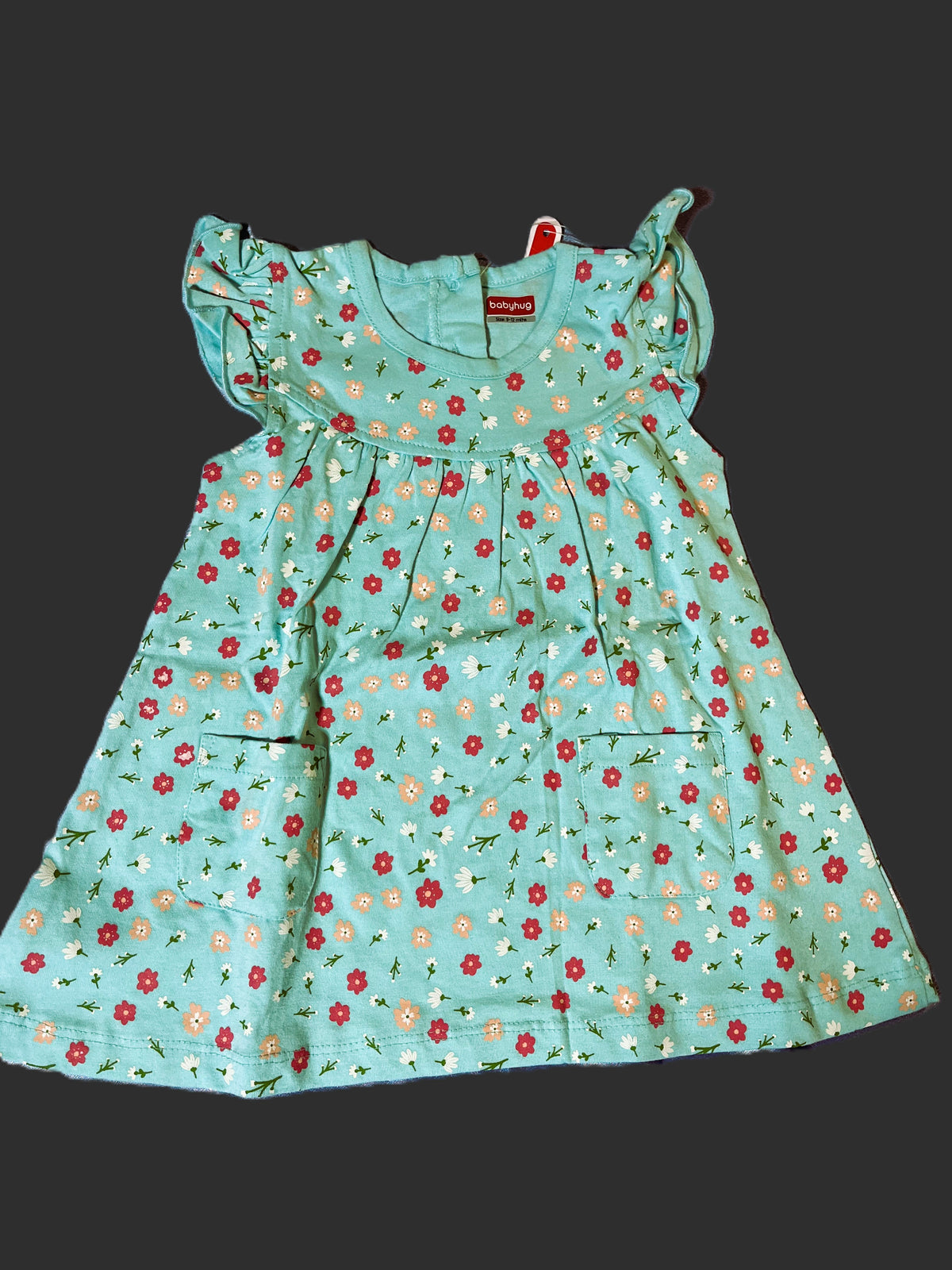 Pastel Green Printed Dress