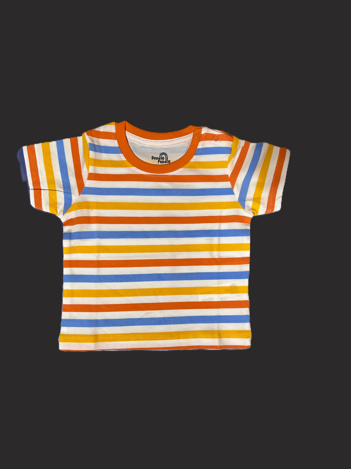 Multicolor Striped Tshirt